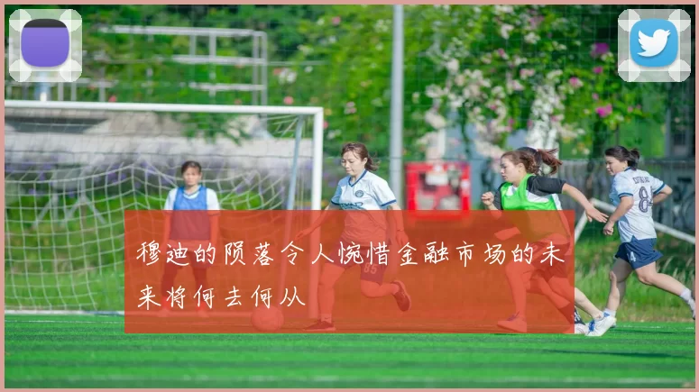 穆迪的陨落令人惋惜金融市场的未来将何去何从